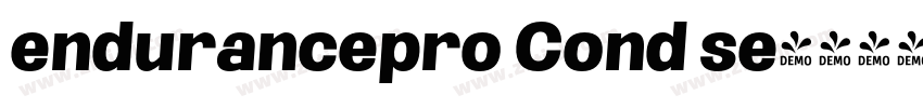 endurancepro Cond se字体转换